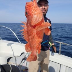 Aquanaut(アクアノート) 釣果