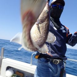 Aquanaut(アクアノート) 釣果