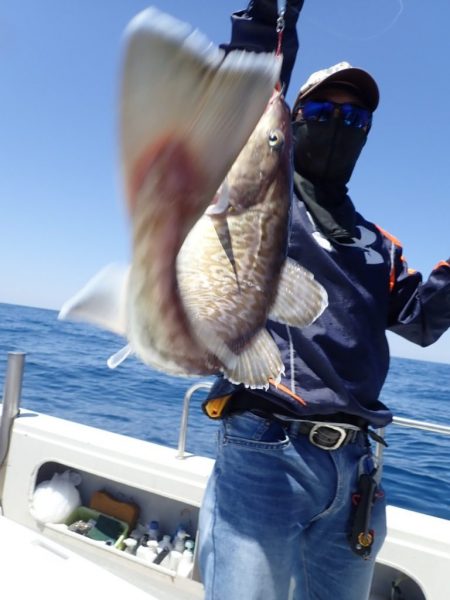 Aquanaut(アクアノート) 釣果