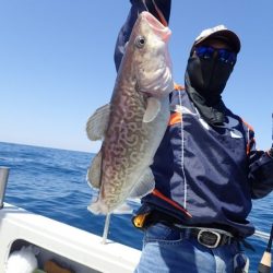 Aquanaut(アクアノート) 釣果