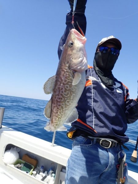 Aquanaut(アクアノート) 釣果