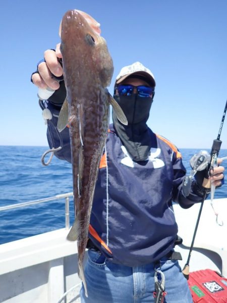 Aquanaut(アクアノート) 釣果