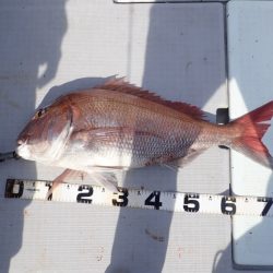 Aquanaut(アクアノート) 釣果