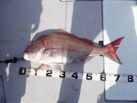 Aquanaut(アクアノート) 釣果