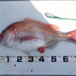 Aquanaut(アクアノート) 釣果