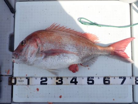 Aquanaut(アクアノート) 釣果