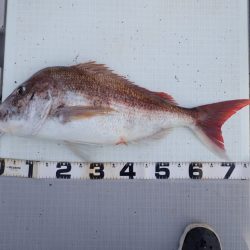 Aquanaut(アクアノート) 釣果