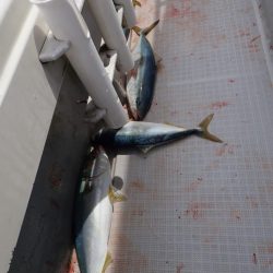 Aquanaut(アクアノート) 釣果