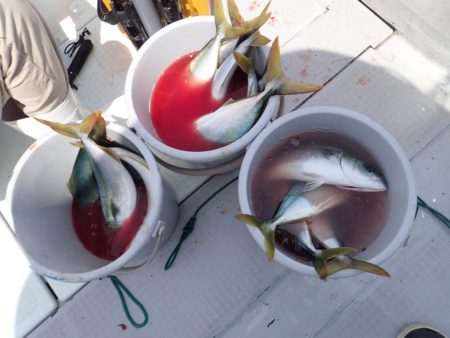 Aquanaut(アクアノート) 釣果