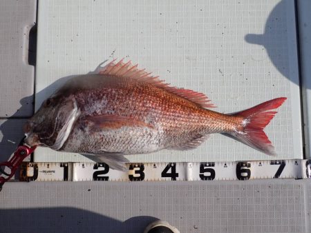 Aquanaut(アクアノート) 釣果