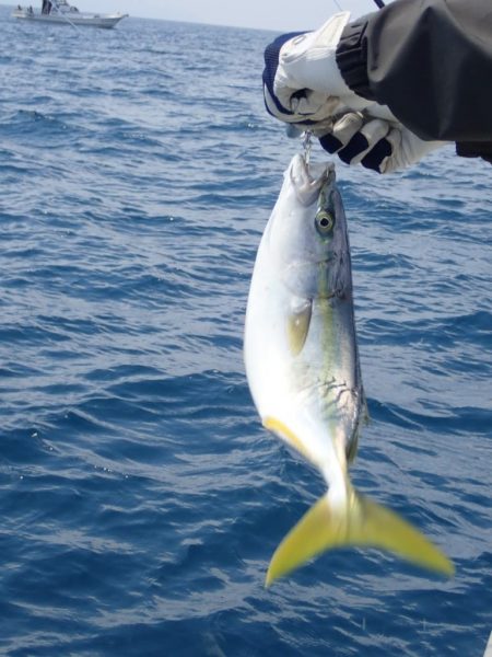 Aquanaut(アクアノート) 釣果