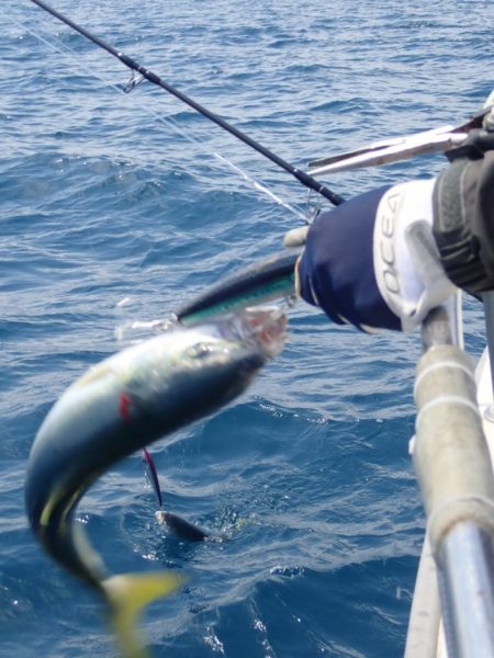 Aquanaut(アクアノート) 釣果