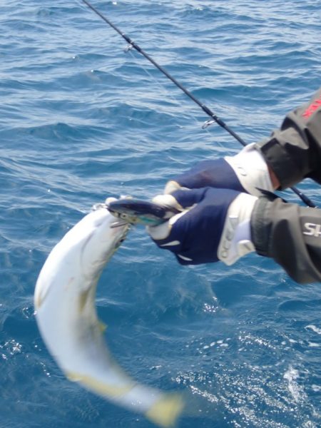 Aquanaut(アクアノート) 釣果