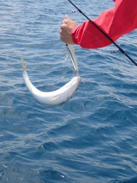 Aquanaut(アクアノート) 釣果