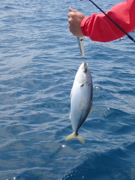 Aquanaut(アクアノート) 釣果