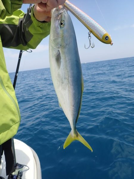 Aquanaut(アクアノート) 釣果