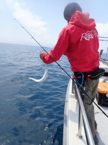 Aquanaut(アクアノート) 釣果