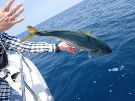 Aquanaut(アクアノート) 釣果