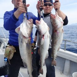 Aquanaut(アクアノート) 釣果