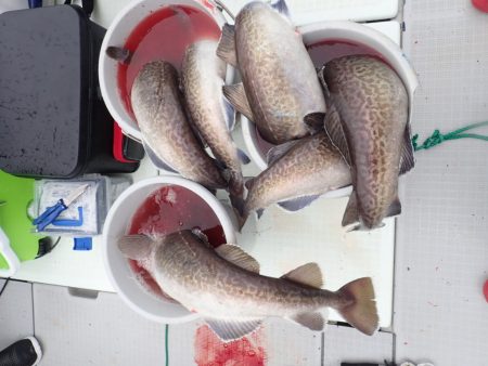 Aquanaut(アクアノート) 釣果