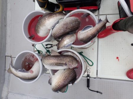 Aquanaut(アクアノート) 釣果