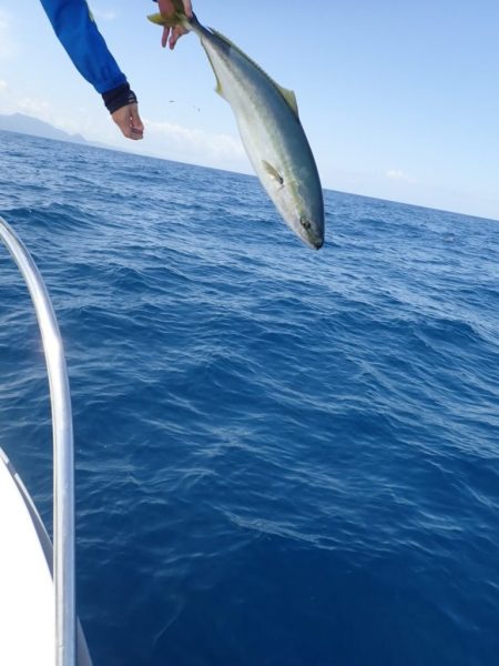 Aquanaut(アクアノート) 釣果