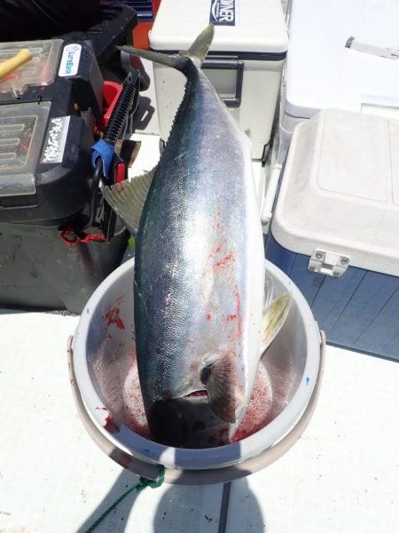 Aquanaut(アクアノート) 釣果