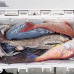 Aquanaut(アクアノート) 釣果