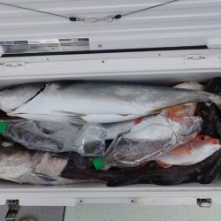 Aquanaut(アクアノート) 釣果