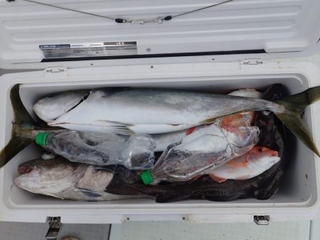 Aquanaut(アクアノート) 釣果