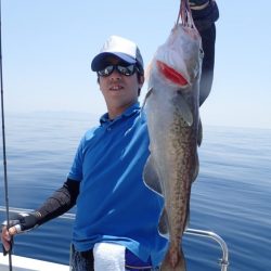 Aquanaut(アクアノート) 釣果