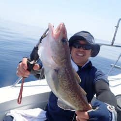 Aquanaut(アクアノート) 釣果