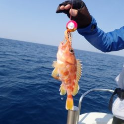 Aquanaut(アクアノート) 釣果