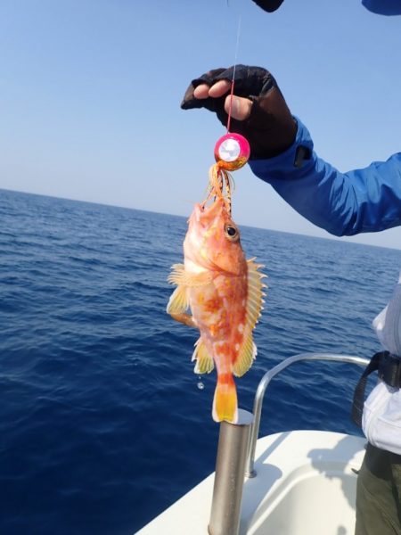 Aquanaut(アクアノート) 釣果