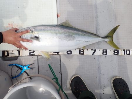 Aquanaut(アクアノート) 釣果