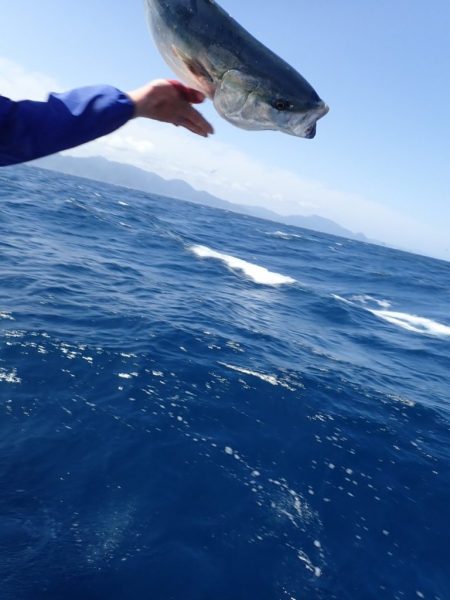 Aquanaut(アクアノート) 釣果