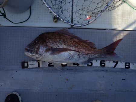 Aquanaut(アクアノート) 釣果