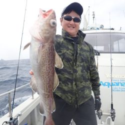 Aquanaut(アクアノート) 釣果