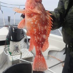 Aquanaut(アクアノート) 釣果