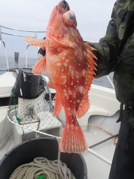 Aquanaut(アクアノート) 釣果