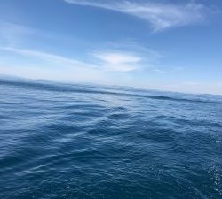 さぶろう丸 釣果