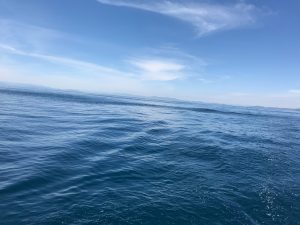 さぶろう丸 釣果