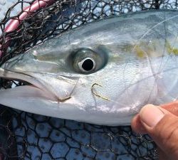 さぶろう丸 釣果