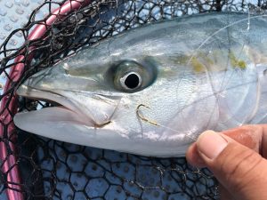 さぶろう丸 釣果