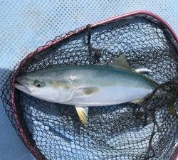 さぶろう丸 釣果