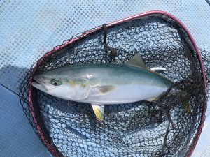 さぶろう丸 釣果