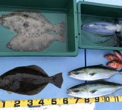 さぶろう丸 釣果