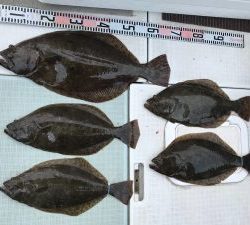 さぶろう丸 釣果