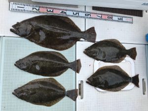 さぶろう丸 釣果