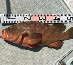 さぶろう丸 釣果